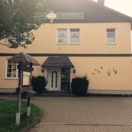 Гостевой дом Landhaus-brunnenhof 2*